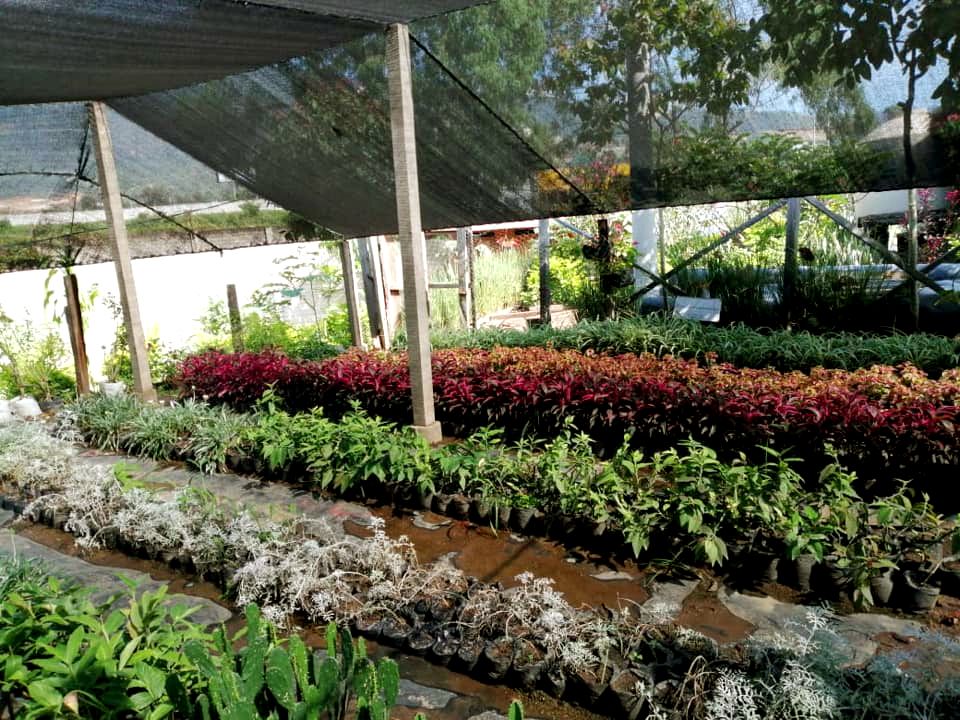 Vivero km 22